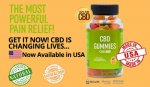 Tetra Bliss CBD Gummies.jpg